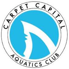 Swim team logo